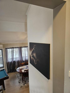 Rooms in Montana Guest house